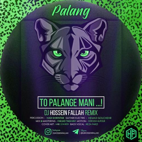 دی جی حسین فلاح پلنگ